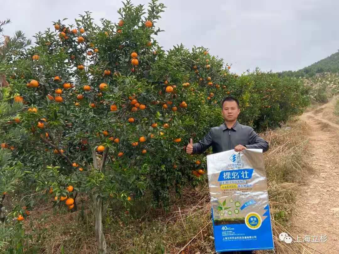立杉炭基肥助力柑橘增產(chǎn)增收1